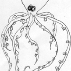 AlbaMontaner's octopus