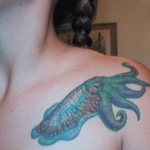 Michelle's Cuttlefish tattoo