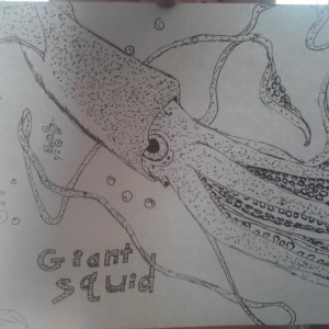 Giant Squid coloring page