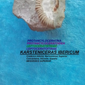 KARSTENICERAS IBERICUM