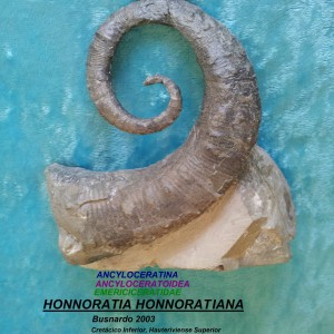 HONORATIA HONORATIANA
