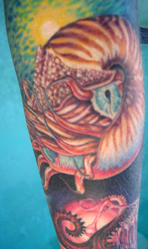 Chambered Nautilus Tattoo