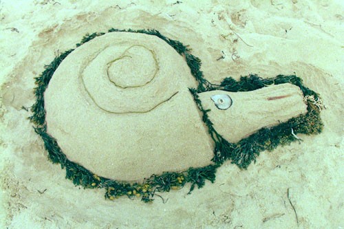 Nautilus Sand Scultpure