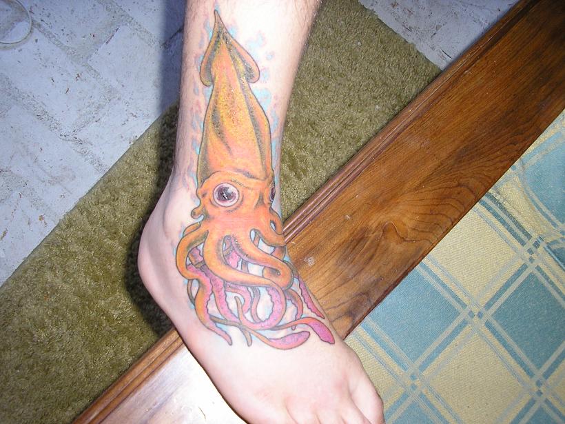 Squid foot (2 of 2)